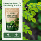 MorganiQ Moringa Powder