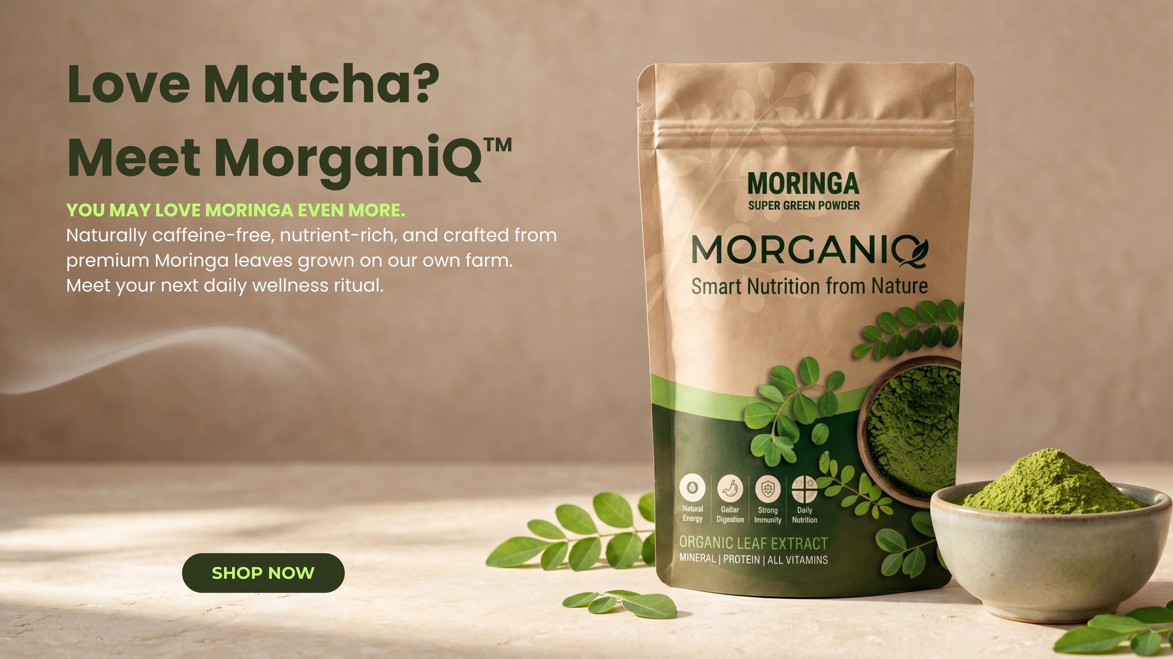 Moringa Banner Desktop
