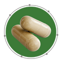 Moringa Tablets